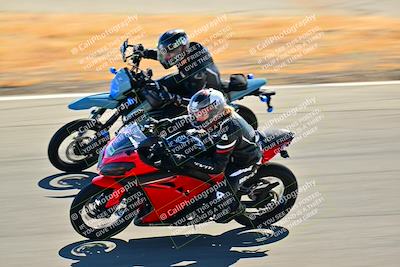 media/Nov-09-2024-2WTD (Sat) [[694fc593b7]]/Group B/Session 2 (Turns 4 5 and 6)/